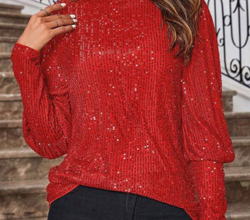 Sequin Boat Neck Long Sleeve Top