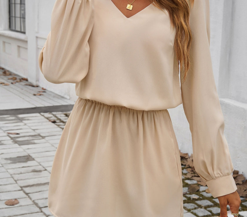 Devine Cutout V-Neck Long Sleeve Mini Dress