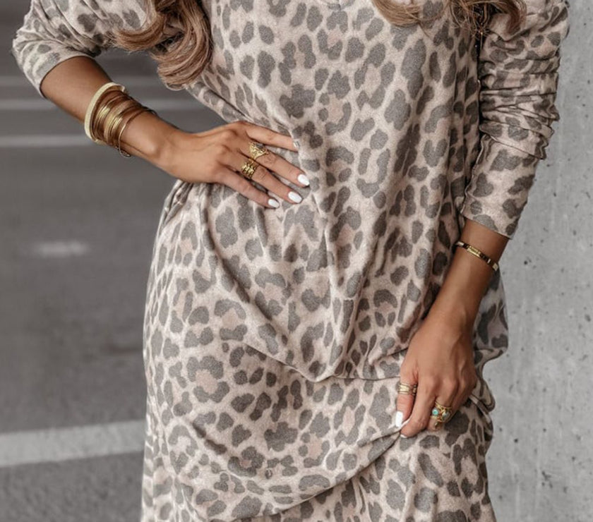 Leopard V-Neck Long Sleeve Dress