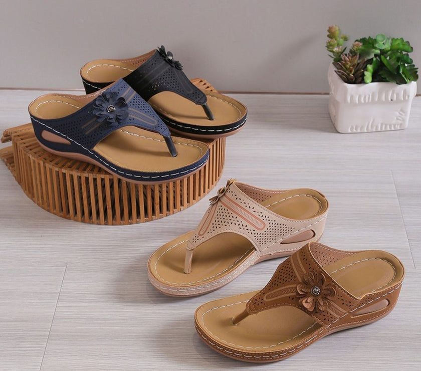 1eef1d8b-d9e1-4610-b5b1-83e79318177f-Max