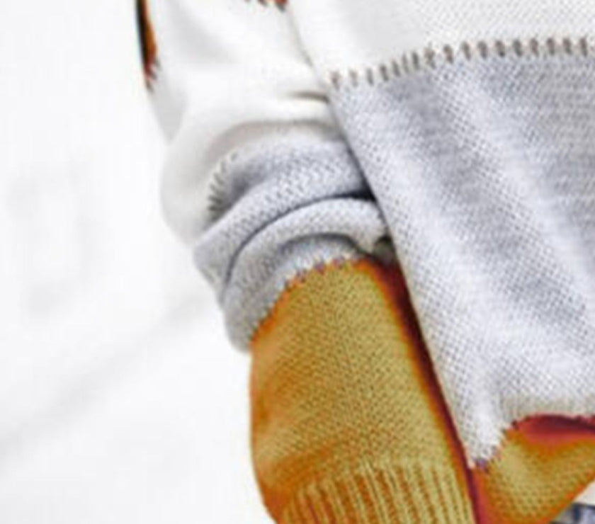 Leopard Color Block Round Neck Long Sleeve Sweater