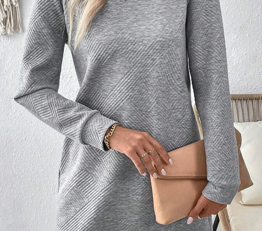 Textured Round Neck Long Sleeve Mini Dress