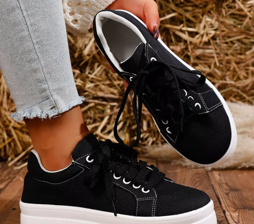 40b2aa84-773b-495e-bf9b-2078dd0af6c5-Max-Origin