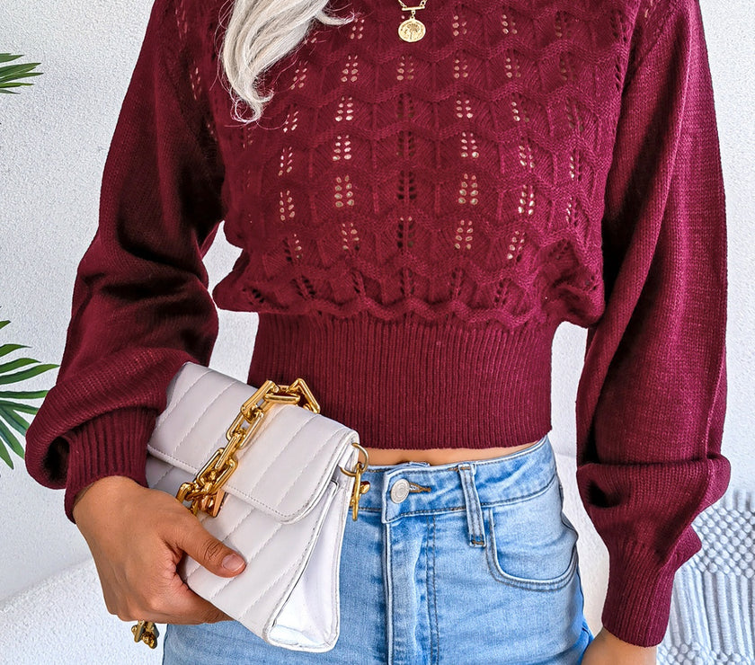 Openwork Mock Neck Long Sleeve Cropped Sweater