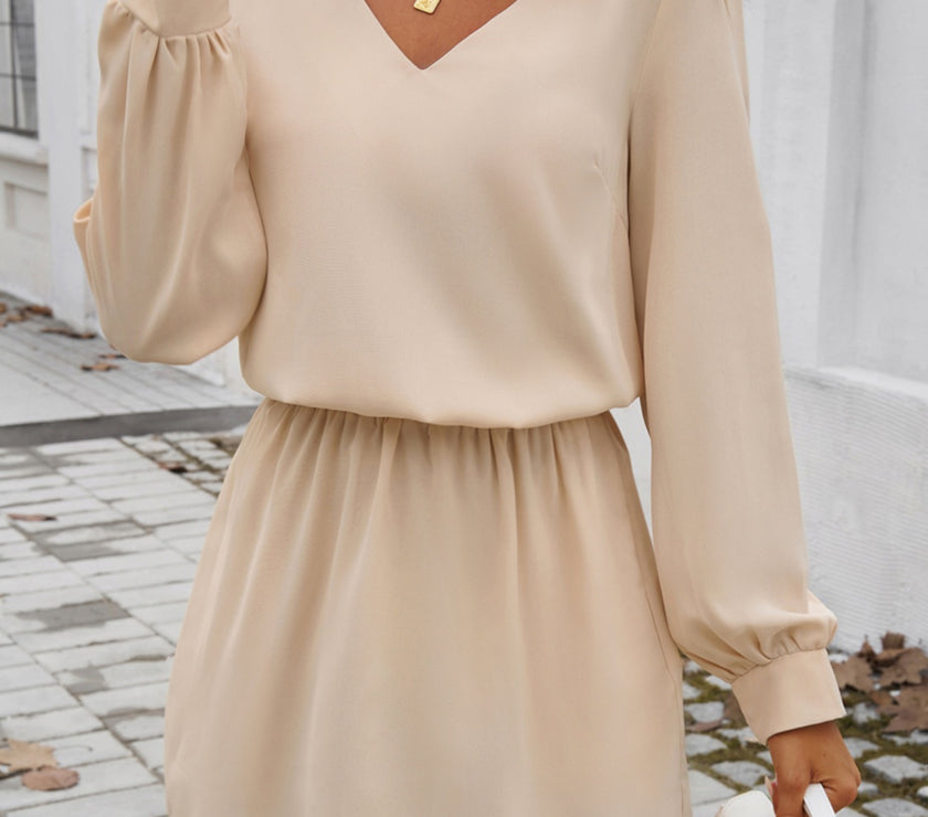 Devine Cutout V-Neck Long Sleeve Mini Dress