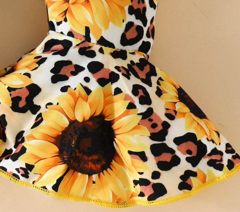 50a3d9d2-a6d3-4546-8653-8bd688930cda-Max-Origin