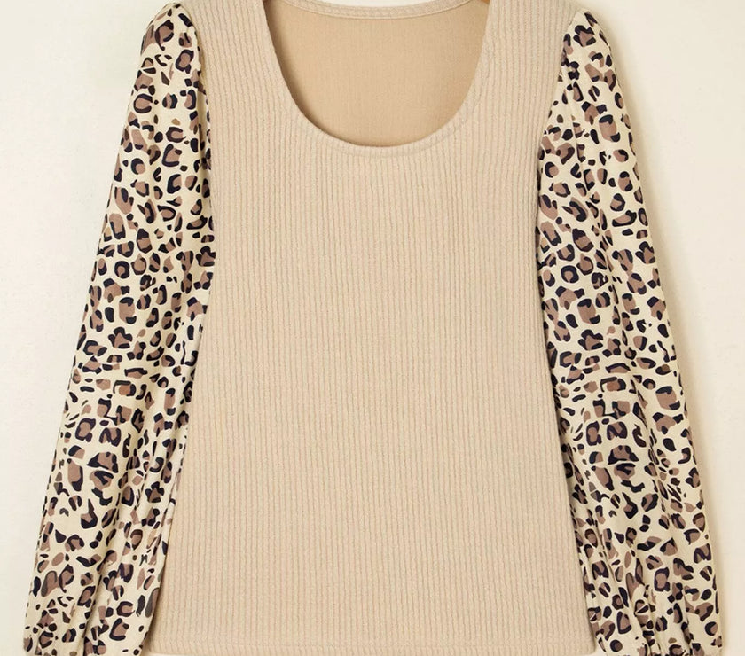 6035853a-f95b-4fd8-a83b-81e785b6d992-Max-Origin