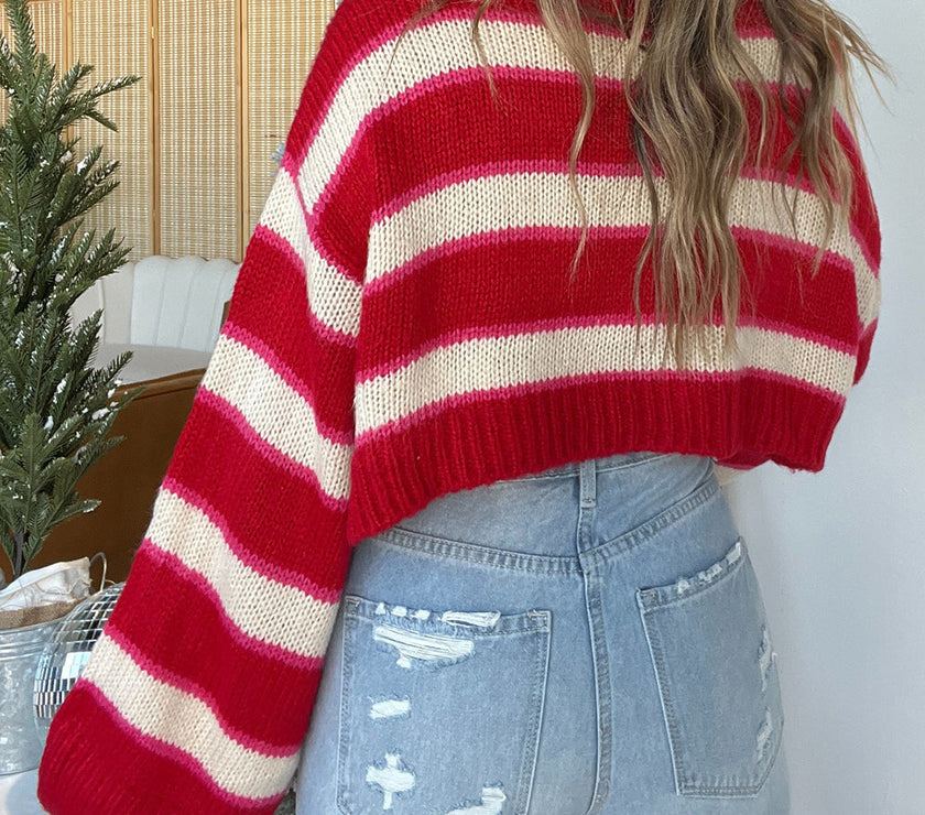 Striped Turtleneck Long Sleeve Cropped Sweater