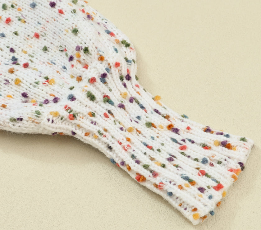 Confetti Round Neck Long Sleeve Sweater