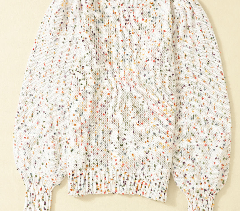 Confetti Round Neck Long Sleeve Sweater
