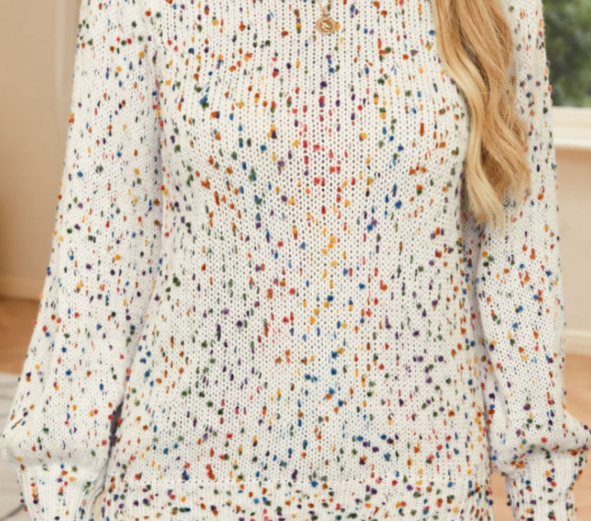 Confetti Round Neck Long Sleeve Sweater