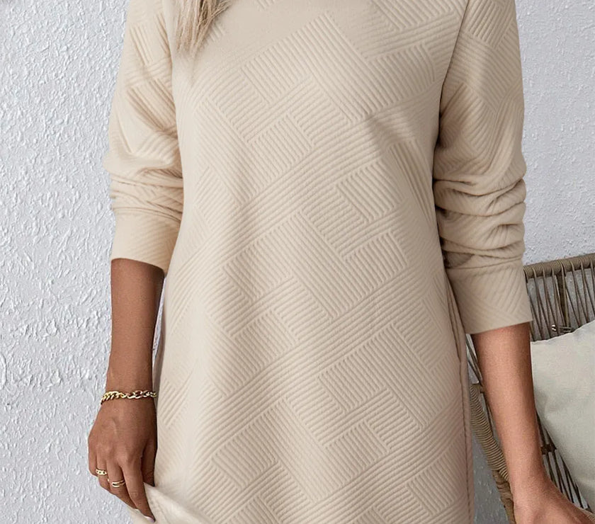 Textured Round Neck Long Sleeve Mini Dress