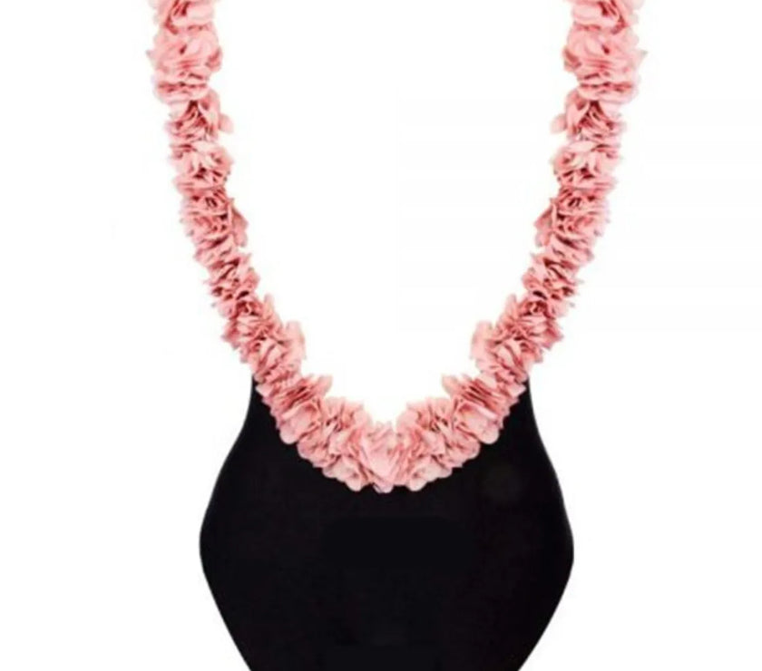 8643b0e2-c591-4033-82c7-0fb04652270b-Max-Origin