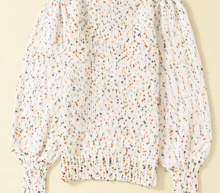 Confetti Round Neck Long Sleeve Sweater