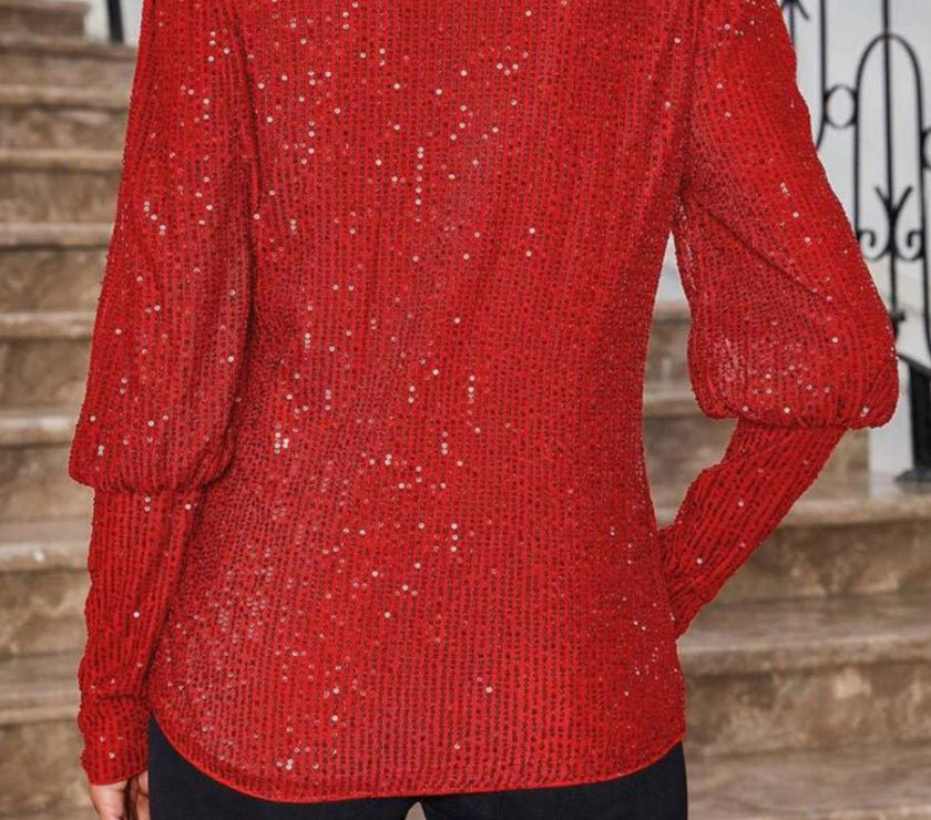 Sequin Boat Neck Long Sleeve Top