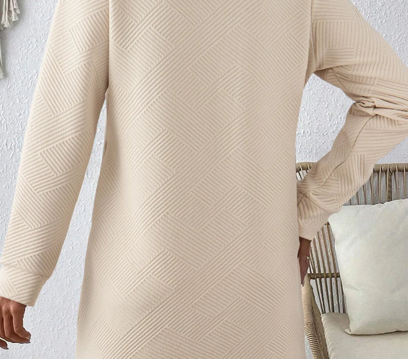 Textured Round Neck Long Sleeve Mini Dress