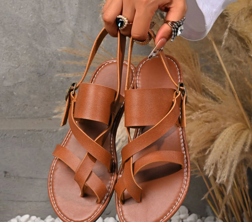 a34a9dfb-1b4a-4ed3-a3ce-062c1803ff62-Max-Origin