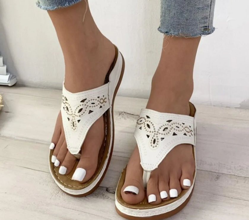 ac84d565-cf5c-468a-a5b5-082c85077cbb-Max-Origin