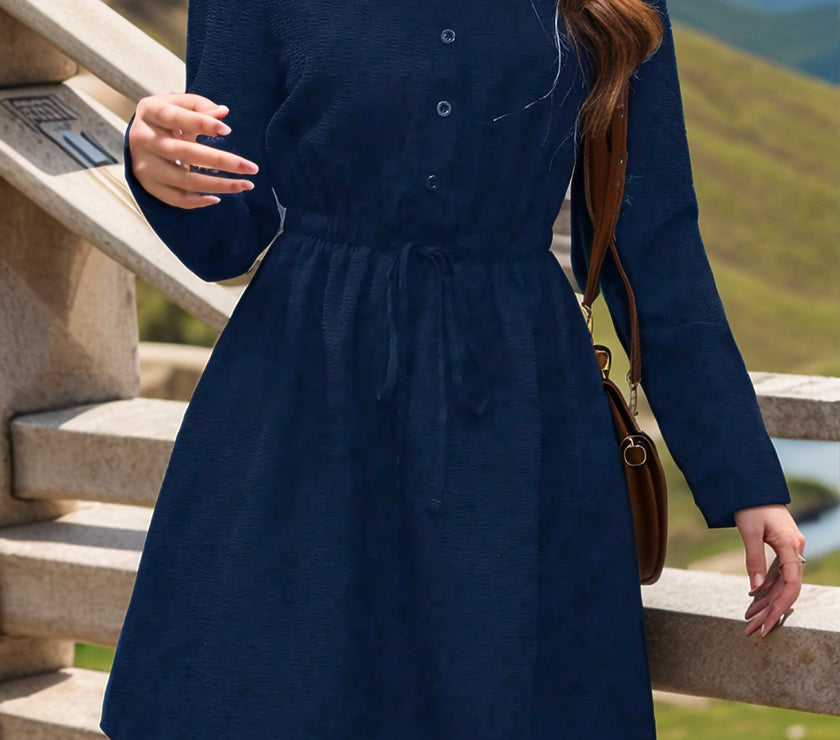 Drawstring Waist Notched Long Sleeve Dress