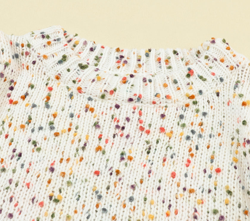 Confetti Round Neck Long Sleeve Sweater