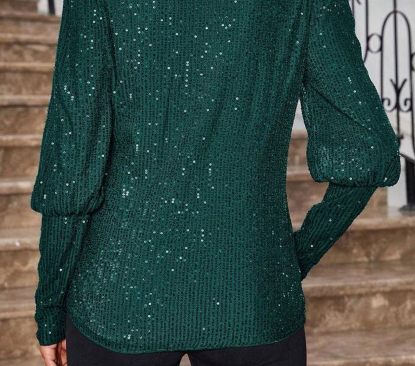 Sequin Boat Neck Long Sleeve Top