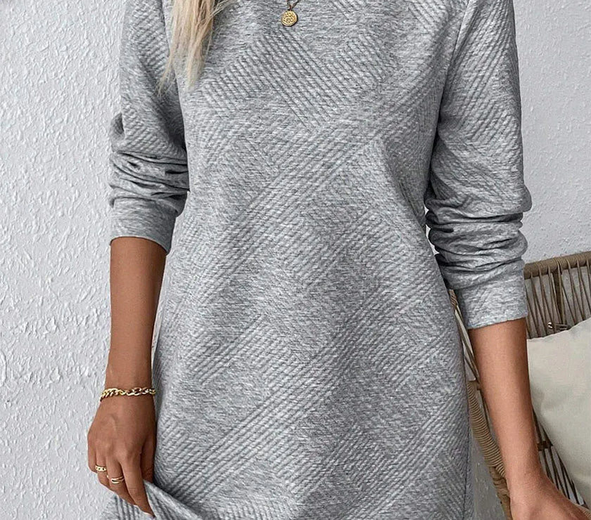 Textured Round Neck Long Sleeve Mini Dress