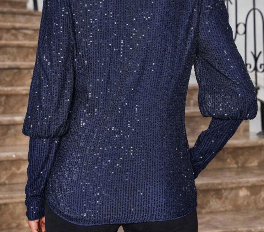 Sequin Boat Neck Long Sleeve Top