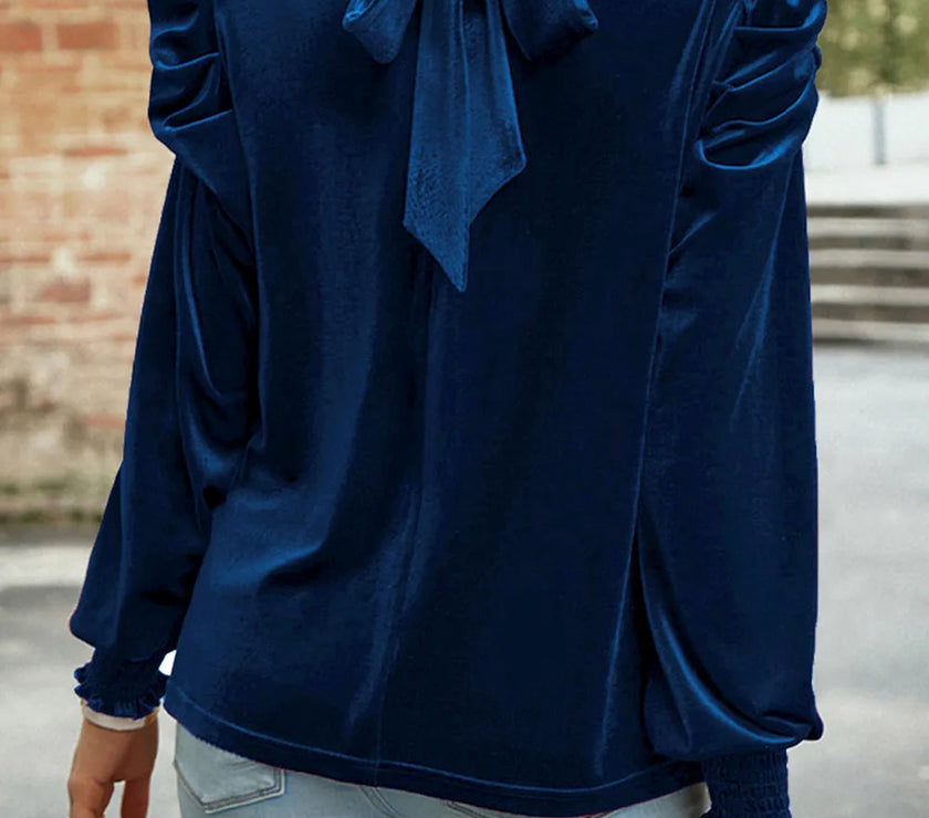 Tie Up Mock Neck Velvet Fabric Long Sleeve Blouse