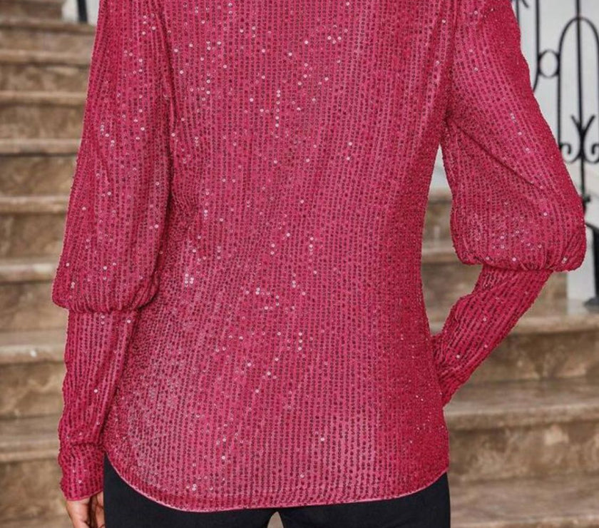Sequin Boat Neck Long Sleeve Top